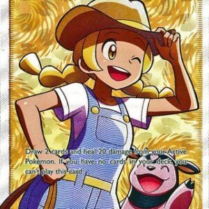 Pokémon Breeder - 73/73