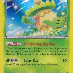 Ludicolo - 12/160 (Holo)