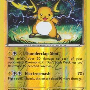 Raichu - 49/162 - Reverse