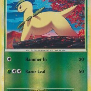 Bayleef - 40/95 - Reverse