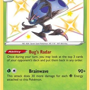 Orbeetle - SV9/SV122