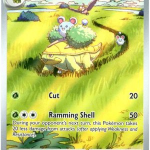 Grotle - 164/162
