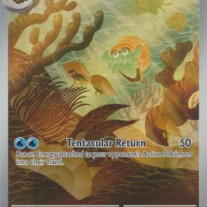 Omanyte - 180/165
