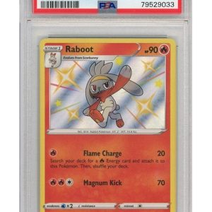 Raboot SV016/SV122 PSA 9