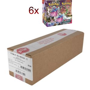 Booster Box Case (6x36 stk.) - SV05 Temporal Forces