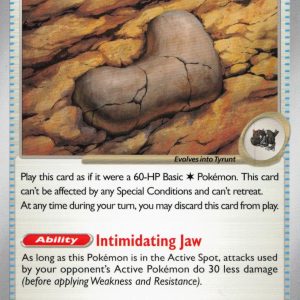 Antique Jaw Fossil - 068/088