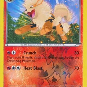 Arcanine - 13/99 - Reverse
