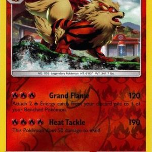 Arcanine - 22/214 - Reverse