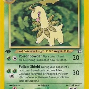Bayleef - 28/111 - 1st Edition