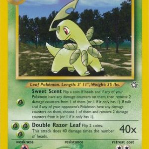 Bayleef - 29/111