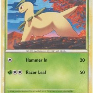 Bayleef - 40/95