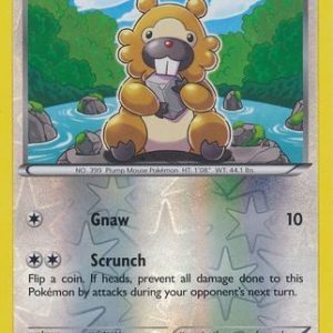 Bidoof - 116/160 - Reverse