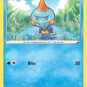Chewtle - 80/264