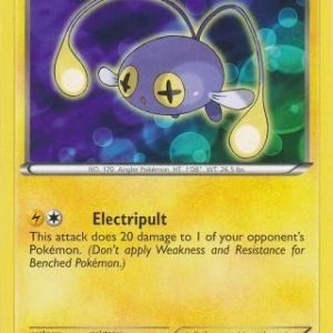 Chinchou - 55/149
