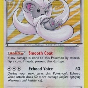 Cinccino - 105/113 (Holo)