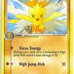 Combusken - 16/100
