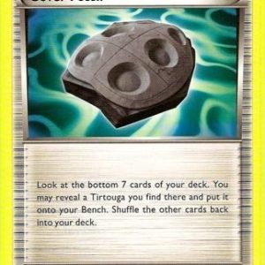 Cover Fossil - 90/101