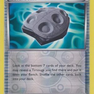 Cover Fossil - 90/101 - Reverse