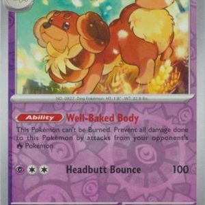 Dachsbun - 039/091 - Reverse