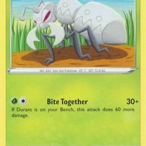 Durant - 8/202
