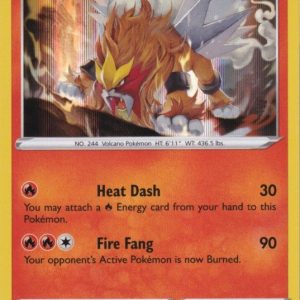 Entei - 020/163 (Holo)