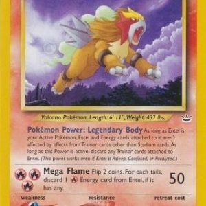 Entei - 17/64