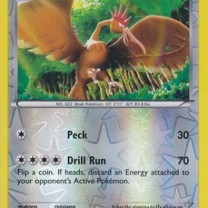 Fearow - 66/108 - Reverse