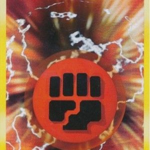 Fighting Energy - 110/110 (Holo)