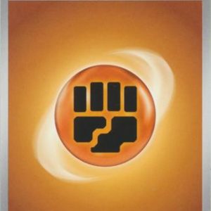 Fighting Energy 2023 - Pokemon