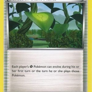 Forest of Giant Plants - 74/98