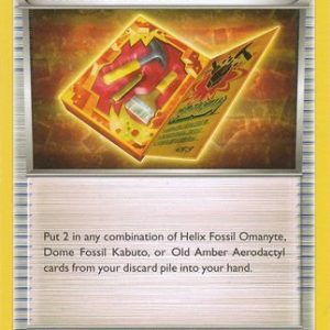 Fossil Excavation Kit - 101/124