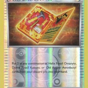 Fossil Excavation Kit - 101/124 - Reverse