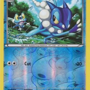 Frogadier - 47/162 - Reverse