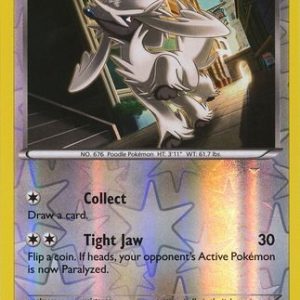 Furfrou - 95/122 - Reverse