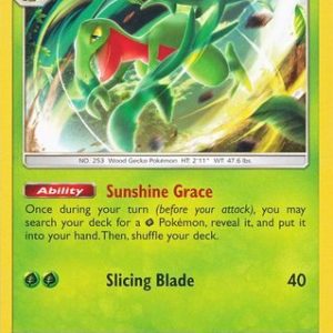 Grovyle - 21/214