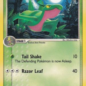 Grovyle - 28/106