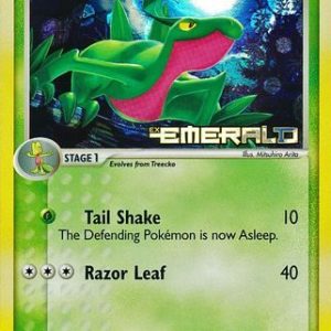 Grovyle - 28/106 - Reverse