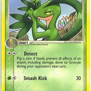 Grovyle - 32/100