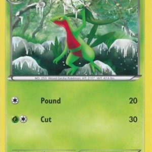 Grovyle - 7/116