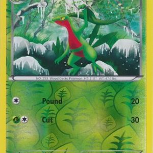 Grovyle - 7/116 - Reverse