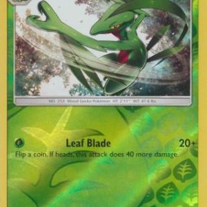 Grovyle - 9/168 - Reverse