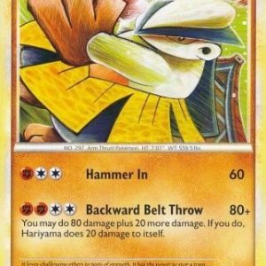 Hariyama - 14/90