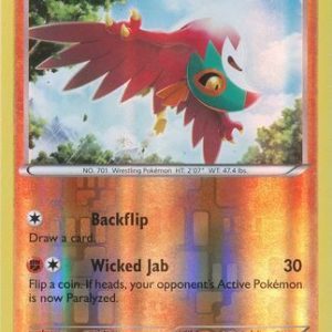 Hawlucha - 48/124 - Reverse