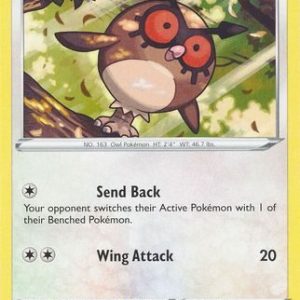 Hoothoot - 143/202