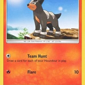 Houndour - 45/214