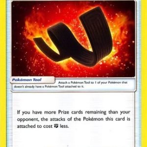 Karate Belt - 201/236