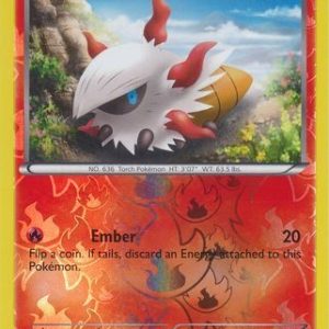Larvesta - 19/101 - Reverse