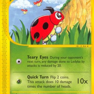 Ledyba - 72/144