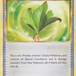 Life Herb - 79/95