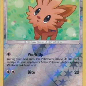 Lillipup - 103/149 - Reverse